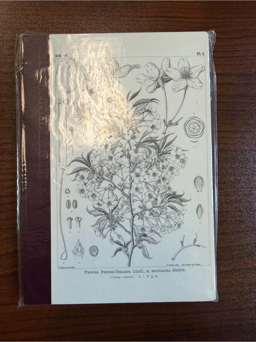 Hobonichi A6 notebook